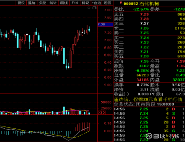 石化機(jī)械股票的投資價(jià)值與前景展望，石化機(jī)械股票投資價(jià)值與前景展望分析