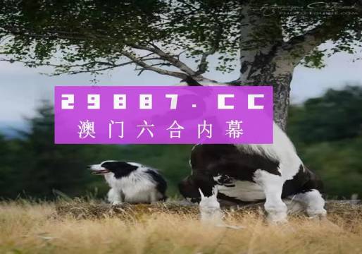 彩票文化與傳統(tǒng)魅力交匯探索