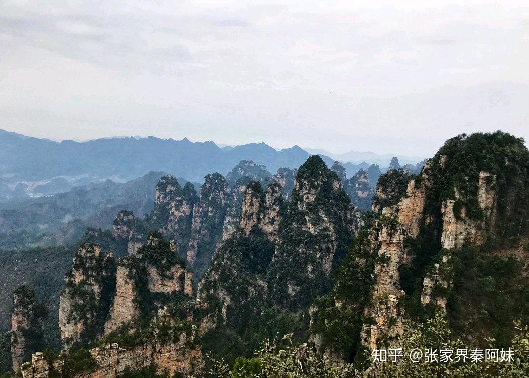 張家界國家森林公園與武陵源的區(qū)別探究，張家界國家森林公園與武陵源景區(qū)差異探究