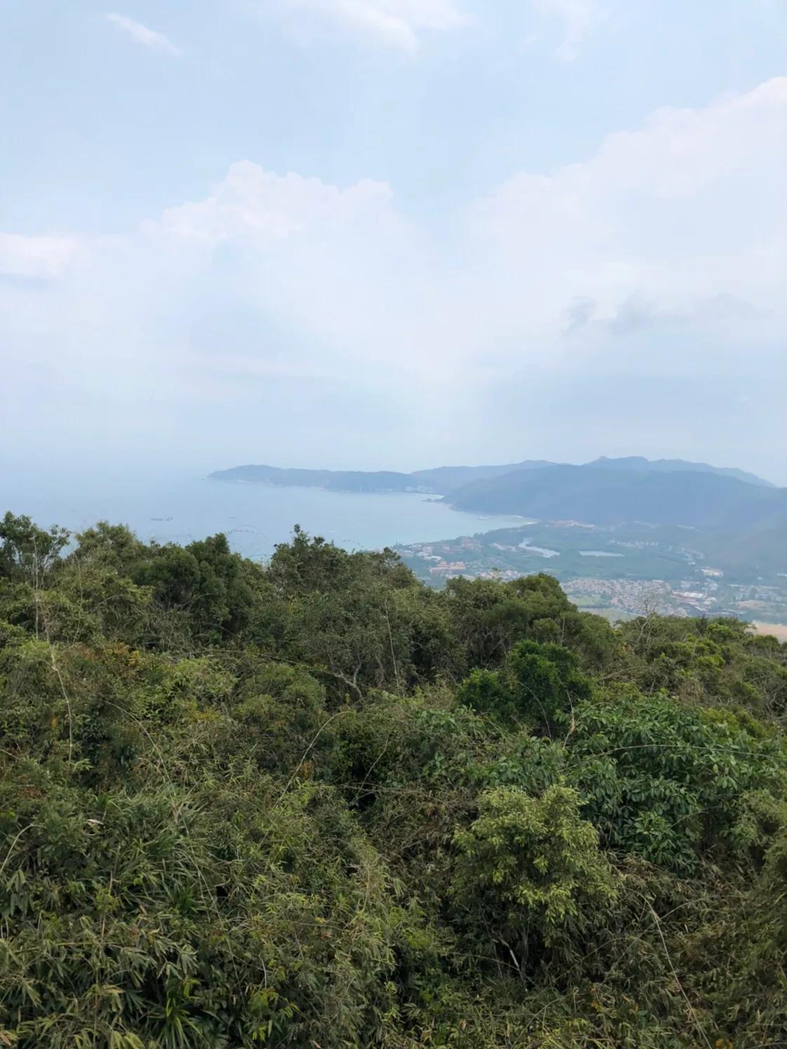 亞龍灣森林公園游覽路線詳解，亞龍灣森林公園游覽路線攻略詳解