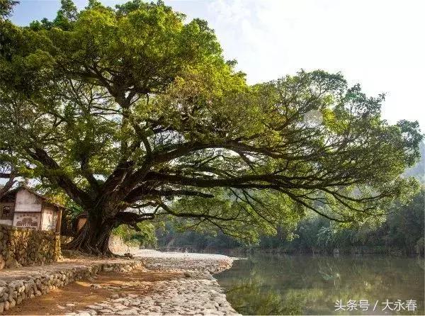 澳門一一碼一特一中準(zhǔn)選今晚，探索澳門的魅力與未來展望，澳門魅力探索與未來展望，今晚一一碼一特一中準(zhǔn)選揭曉